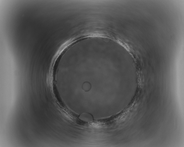 X0000116280199200912071157