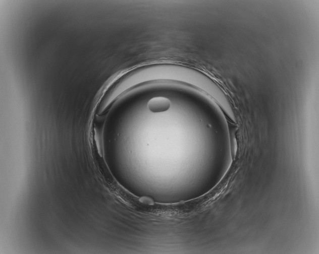 X0000116280200200912071157