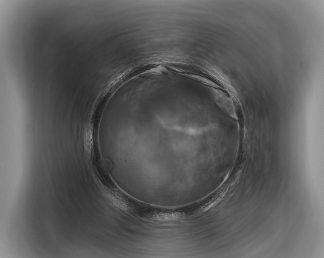 X0000116280202200912071157