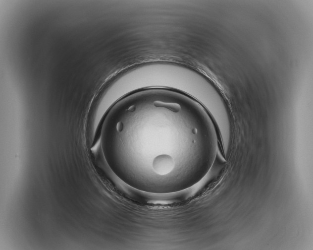 X0000116280203200912071157