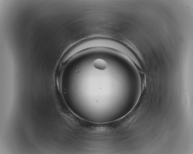 X0000116280204200912071157