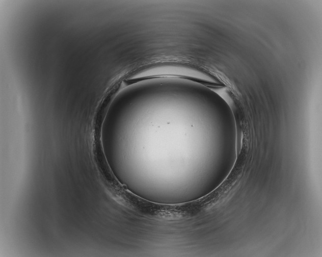 X0000116280207200912071157