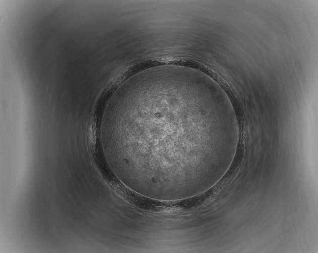 X0000116280210200912071157