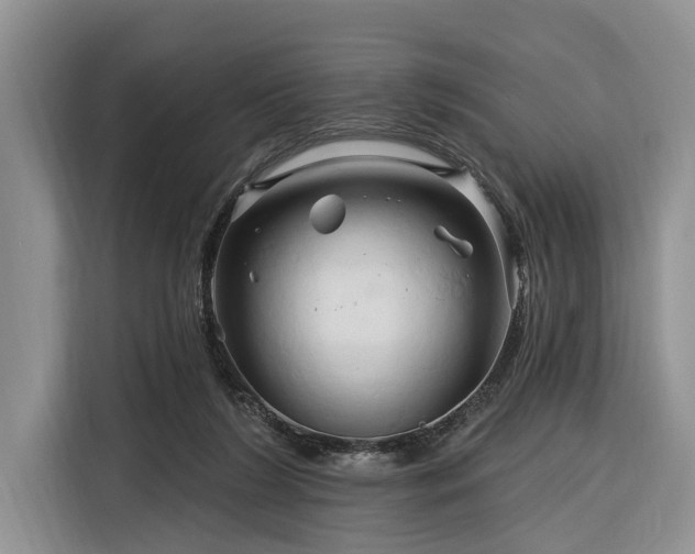 X0000116280212200912071157
