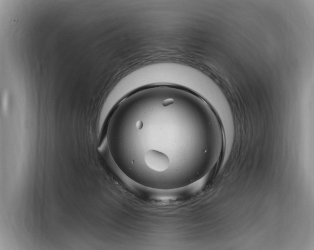 X0000116280221200912071156