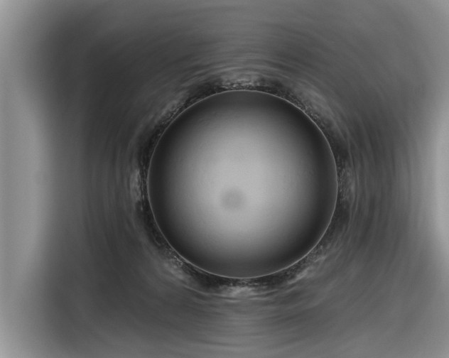 X0000116280224200912071156