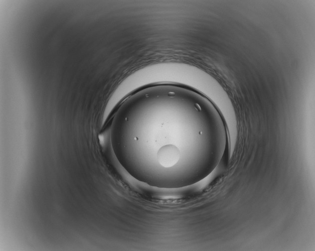 X0000116280225200912071156