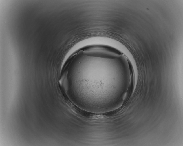 X0000116280227200912071156