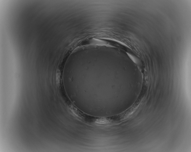 X0000116280231200912071156