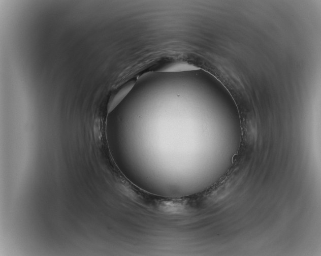 X0000116280232200912071156