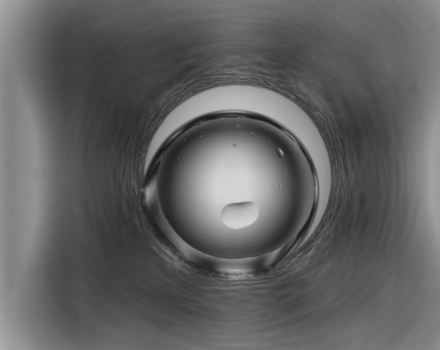 X0000116280233200912071156