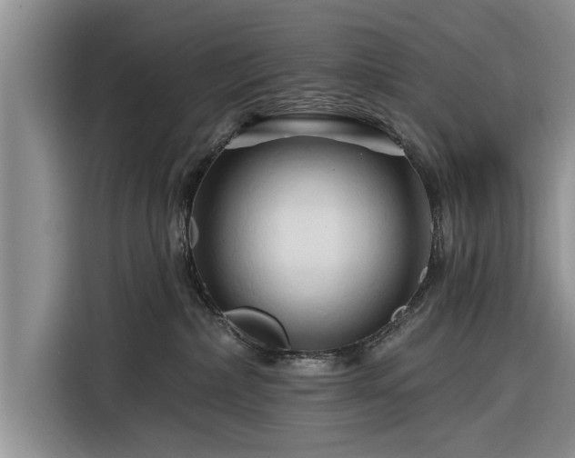 X0000116280236200912071156
