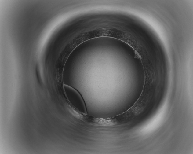 X0000116280239200912071156