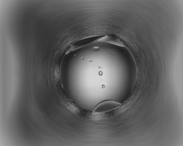 X0000116280240200912071156