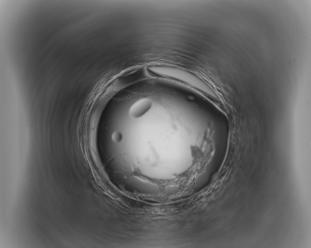 X0000116280241200912071156