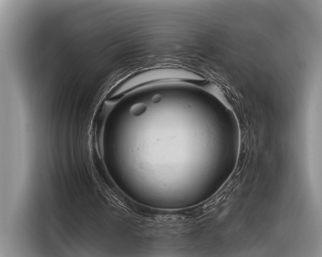 X0000116280242200912071156
