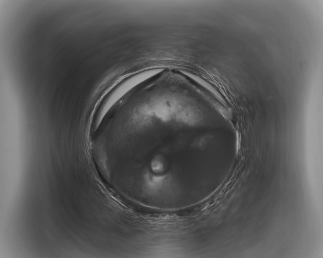 X0000116280243200912071156