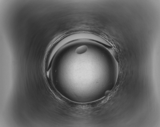 X0000116280245200912071156