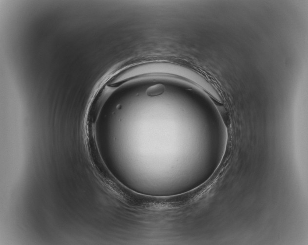 X0000116280246200912071156