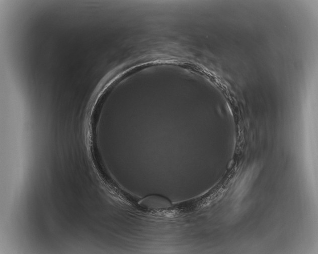 X0000116280247200912071156