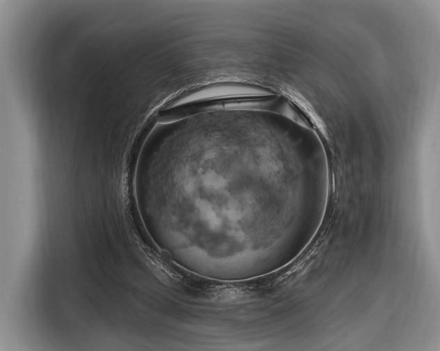 X0000116280249200912071156
