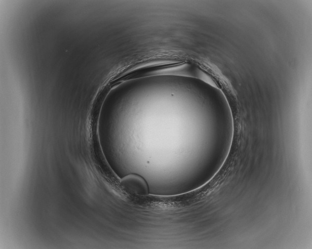 X0000116280250200912071156