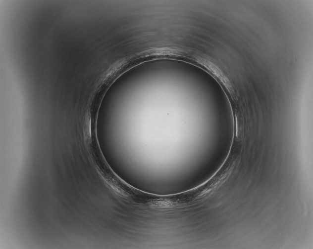 X0000116280253200912071156