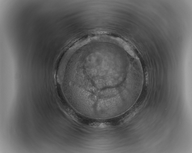 X0000116280254200912071156