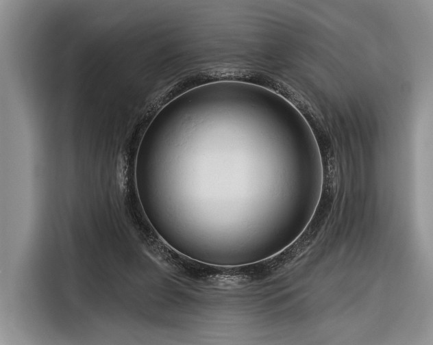X0000116280255200912071156