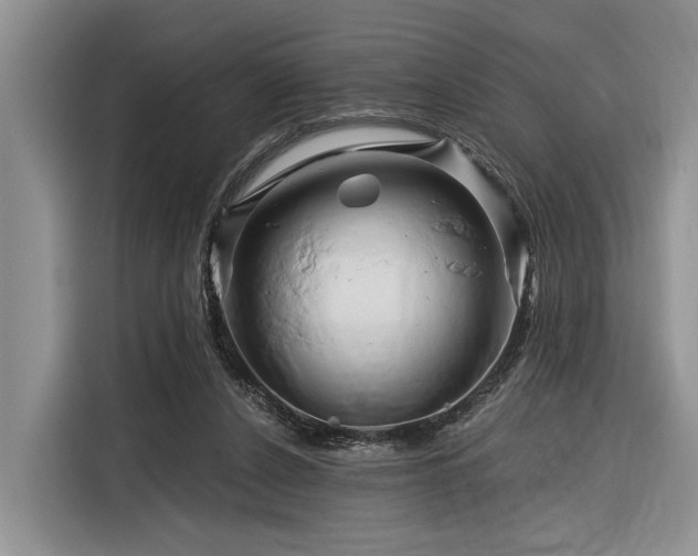 X0000116280256200912071156