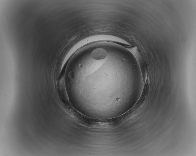 X0000116280260200912071156