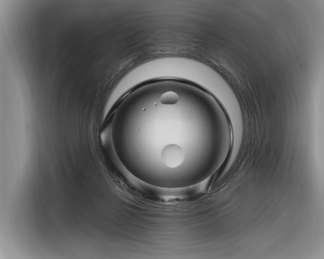 X0000116280264200912071156