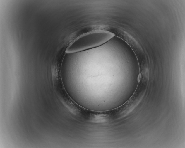 X0000116280268200912071156