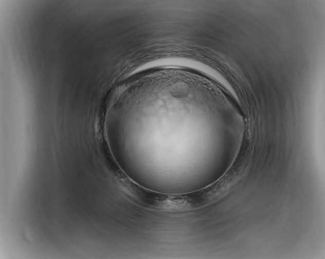 X0000116280270200912071156
