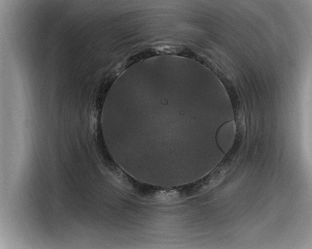 X0000116280271200912071156