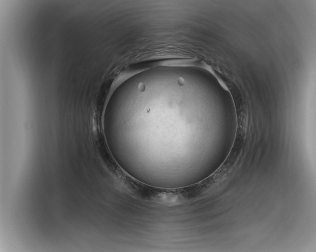 X0000116280272200912071156