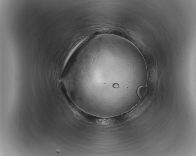 X0000116280273200912071156