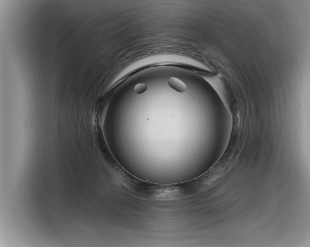 X0000116280274200912071156