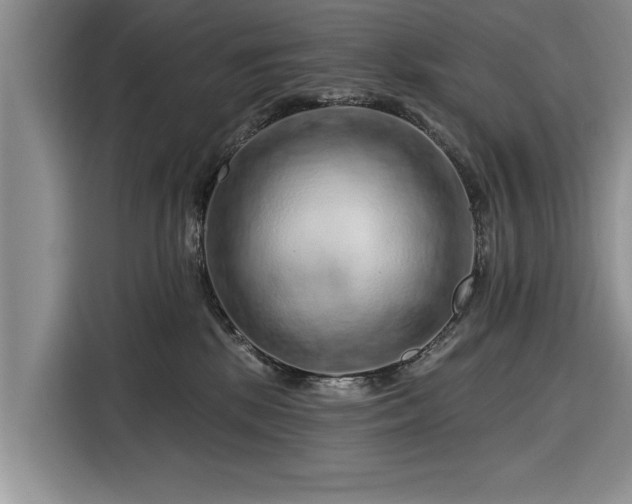 X0000116280281200912071156