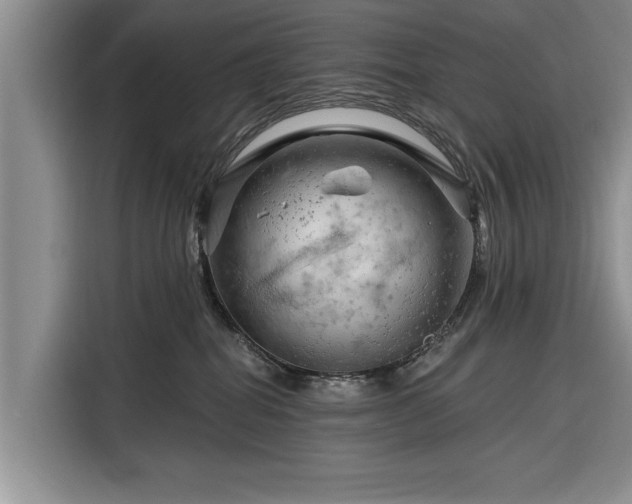 X0000116280282200912071156