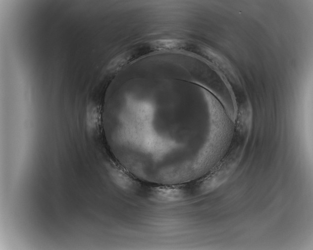 X0000116280284200912071156