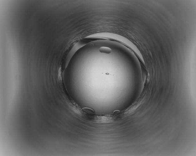 X0000116280286200912071156