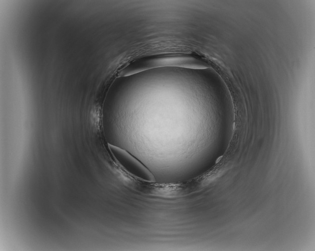 X0000116280288200912071156