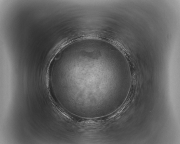 X0000116280290200912071156