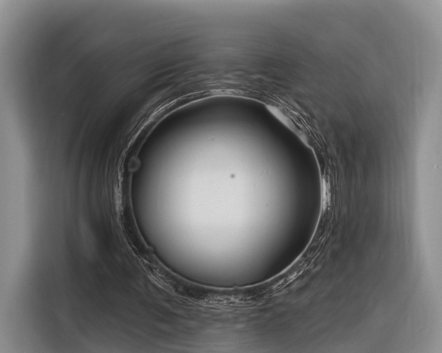 X0000116280291200912071156