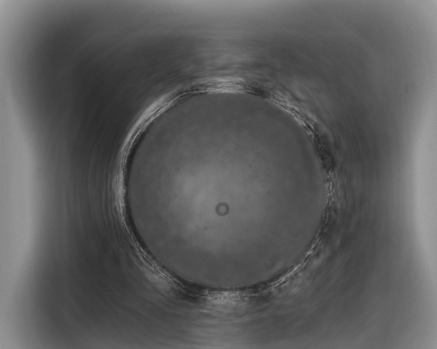 X0000116280293200912071156