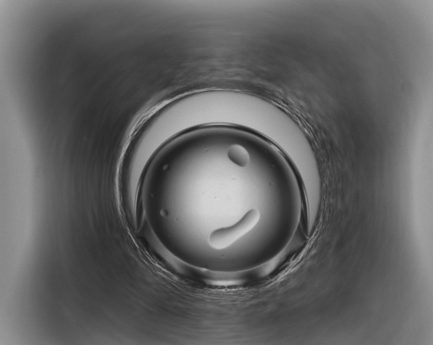 X0000116280294200912071156