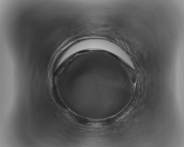 X0000116280295200912071156
