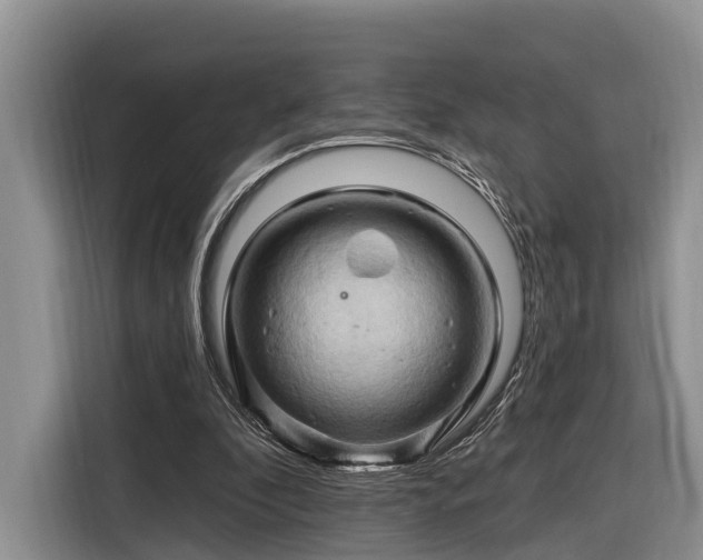 X0000116280296200912071155