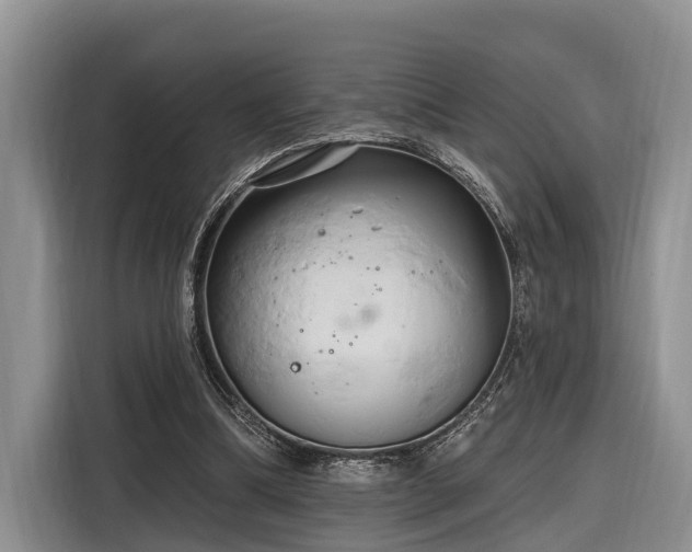 X0000116280298200912071155